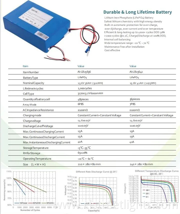 All in Two Design 100W. 120W Solar LED Street Lights (10~12M)